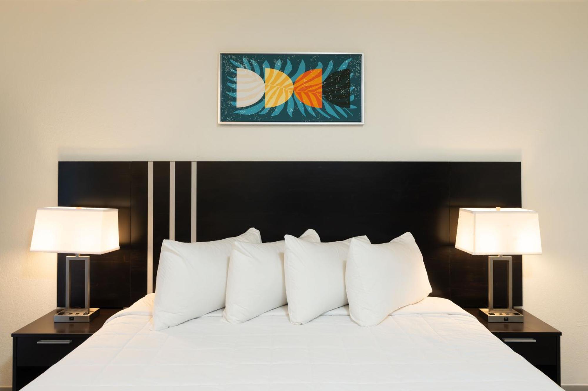 Oasis Bay Suites, Tampa, Busch Gardens, Usf Экстерьер фото