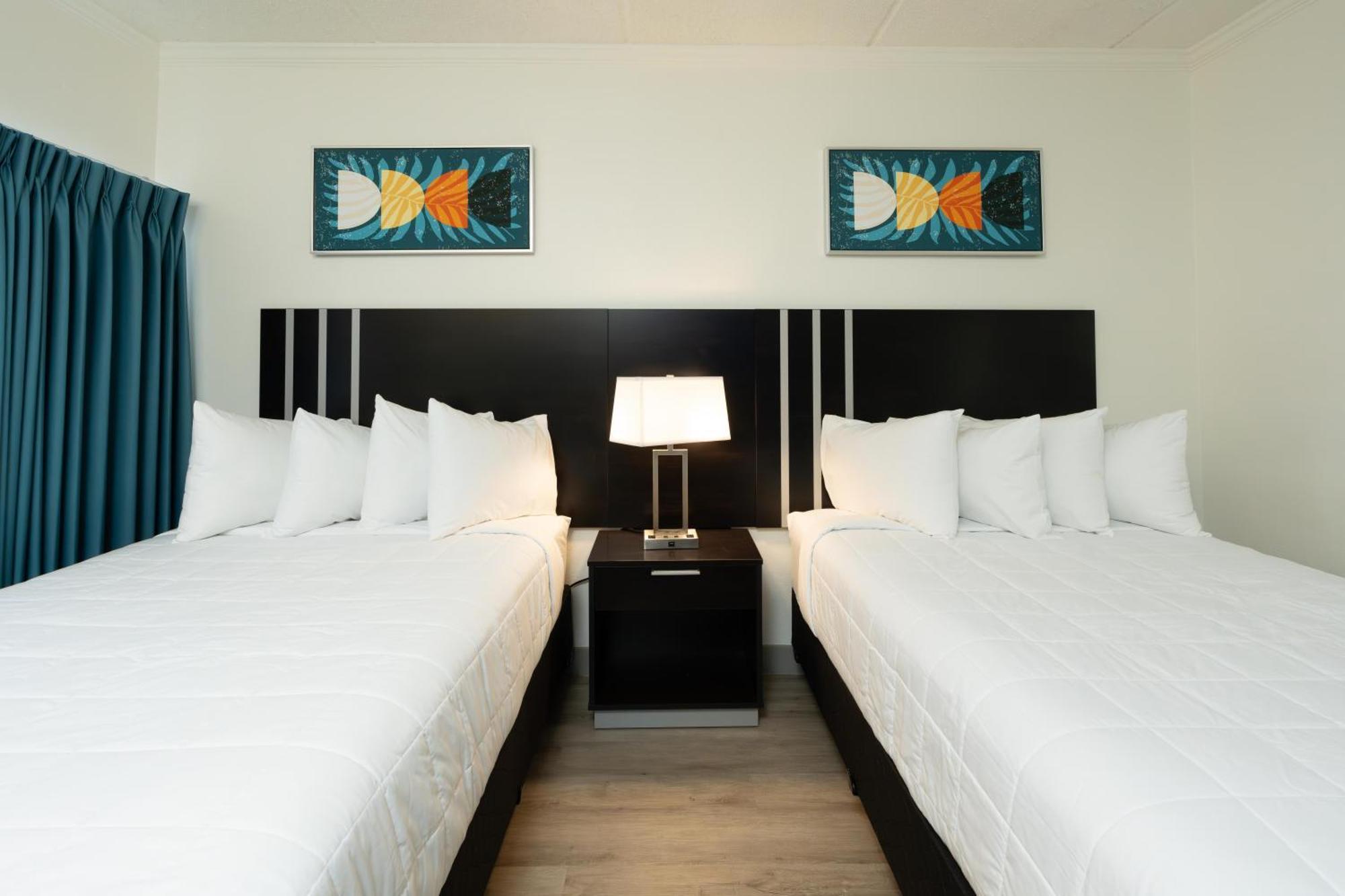Oasis Bay Suites, Tampa, Busch Gardens, Usf Экстерьер фото